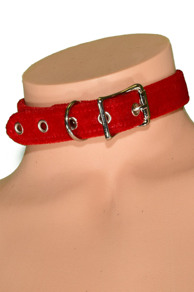 red velvet collar, D ring collar